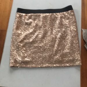 Sequin Skirt
